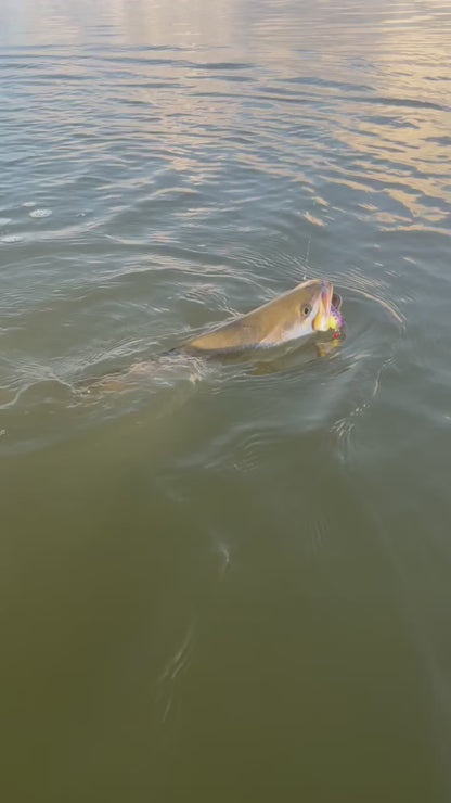 "True" Floater Big Softy